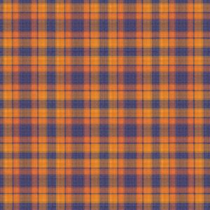 Paddler plaid fabric